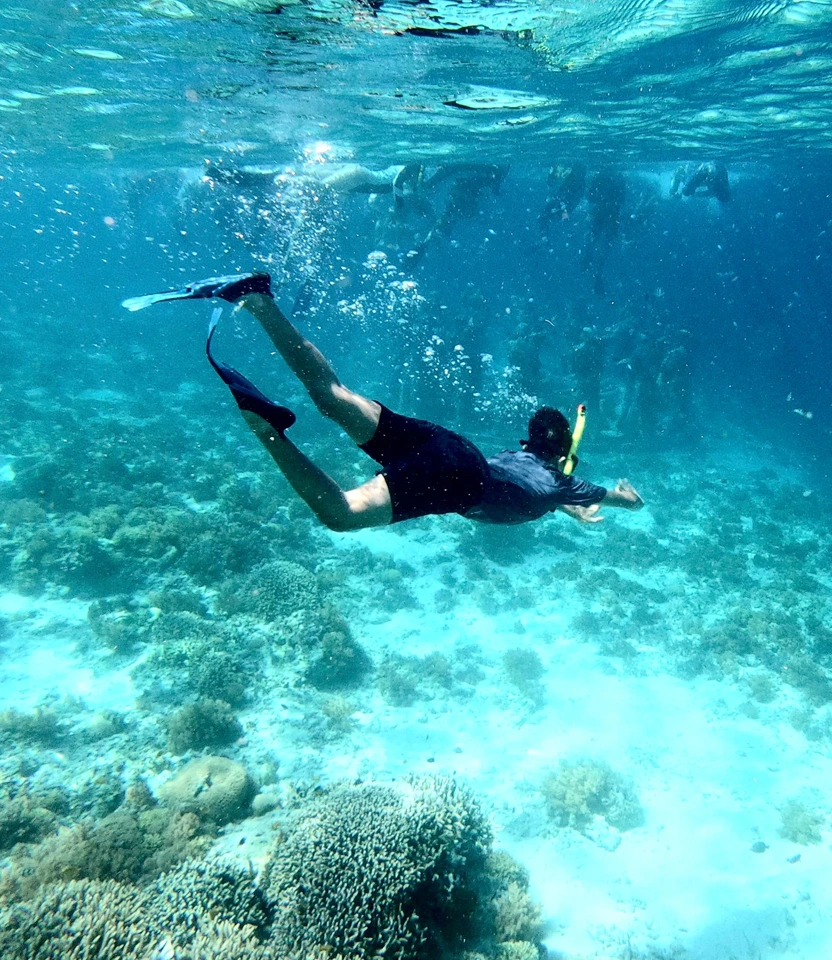 Homem nadando com nadadeiras e snorkel sobre arrecifes na Ilha do Xavier